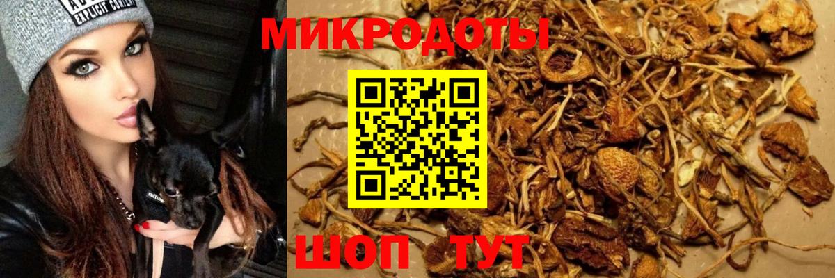 Буйнакск  Псилоцибиновые грибы мухоморы  Псилоцибиновые грибы ЛСД  Вход с VPN 